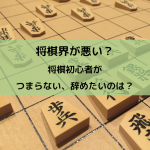 将棋初心者はいつ棋譜並べを始めたらいい 上達のコツは棋力や強さに合わせる はちみつ将棋カフェ